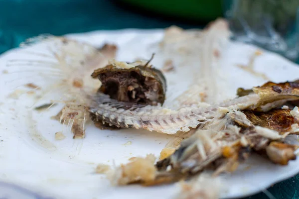 Yemek artıkları beyaz tabakta balık kemikleri.