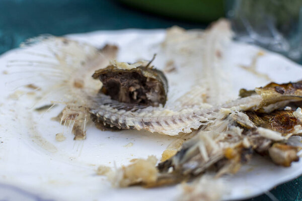 Food scrap leftovers fish bones on the white plate