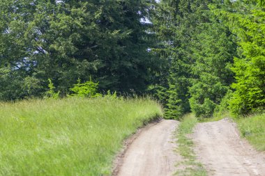 Bosna-Hersek 'teki dağda kırsal yol