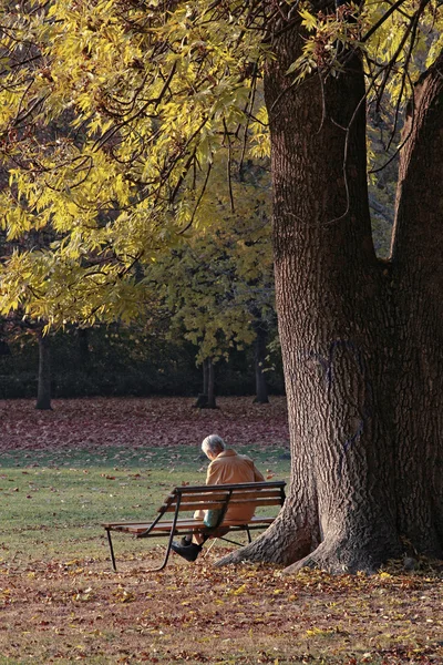 Relaxante — Fotografia de Stock