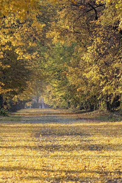 通路 — ストック写真