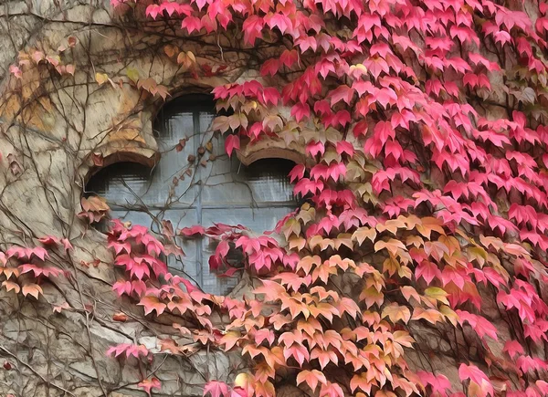 Ventana de la iglesia —  Fotos de Stock