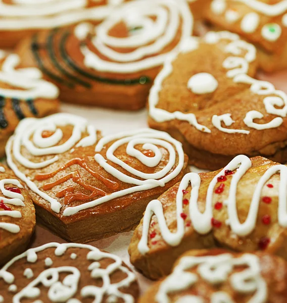 Varoius Homemade Gingerbread Cookies — Stock Photo, Image