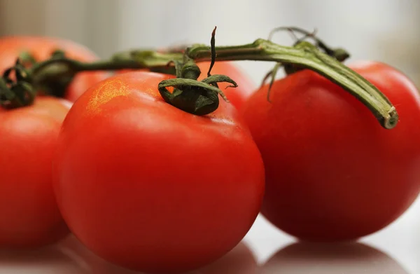 Tomates sur une branche. — Photo