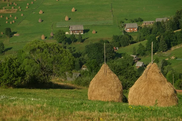 Pile di paglia sul bellissimo altopiano estivo nella montagna dei Carpazi . — Foto Stock