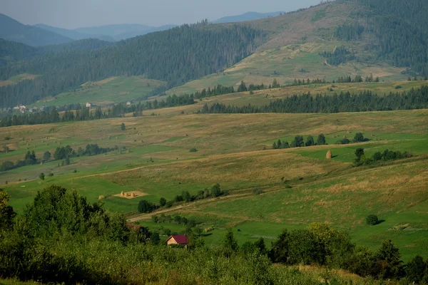 Höstackar på vacker sommar platå i Carpathian berg. — Stockfoto