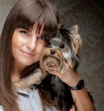 Teriyer köpek ile genç kız