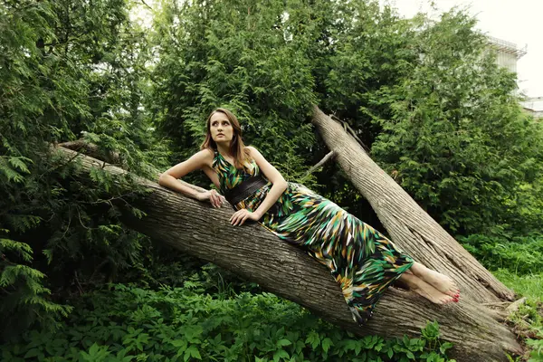 Ung kvinna poserar på ett träd — Stockfoto