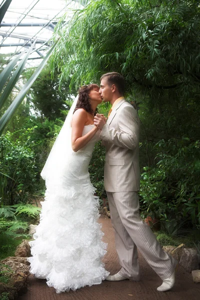 El paseo de los recién casados — Foto de Stock