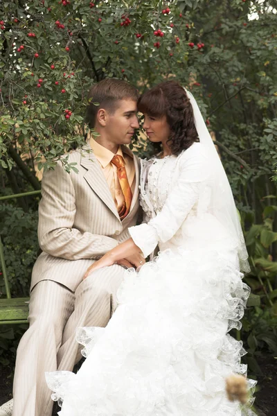 The walk of newlyweds — Stock Photo, Image