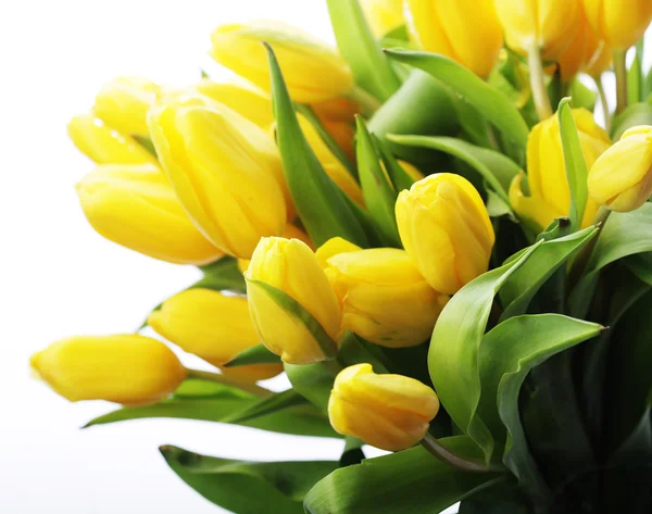 Schöner Strauß gelber Tulpen — Stockfoto