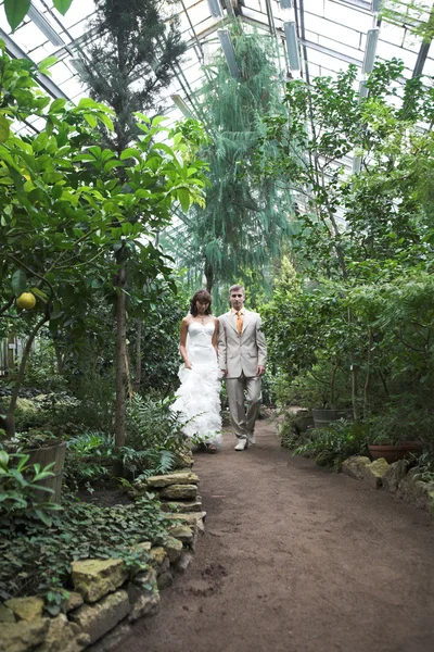 The walk of newlyweds — Stock Photo, Image