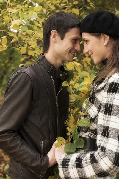 Pareja encantadora en el parque de otoño —  Fotos de Stock