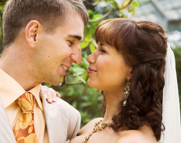 The walk of newlyweds — Stock Photo, Image