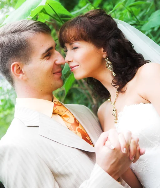 A caminhada de recém-casados — Fotografia de Stock