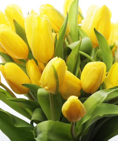 Schöner Strauß gelber Tulpen — Stockfoto