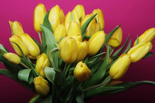 Fiori di tulipano giallo in vaso di vetro — Foto Stock