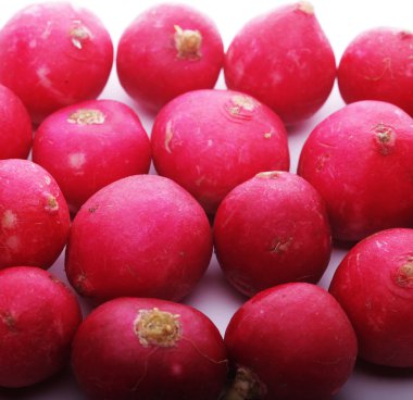 taze kırmızı turp