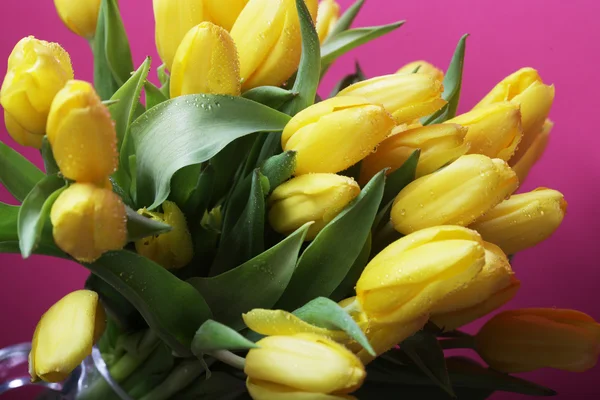 Flores de tulipa amarela em vaso de vidro — Fotografia de Stock