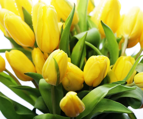 Belo buquê de tulipas amarelas — Fotografia de Stock