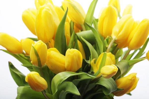 Schöner Strauß gelber Tulpen — Stockfoto