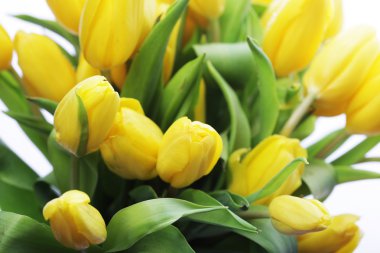 güzel buket Sarı laleler 