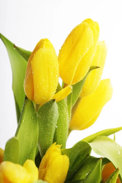 Beau bouquet de tulipes jaunes — Photo