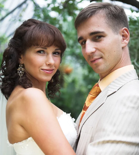 The walk of newlyweds — Stock Photo, Image