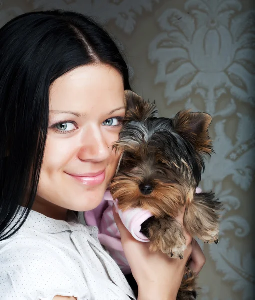 Young girl with her Yorkie puppy Stock Picture