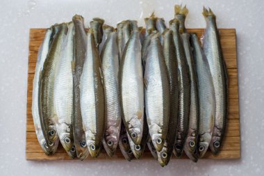 Beyaz arka plan üzerinde balıklar kokuyordu