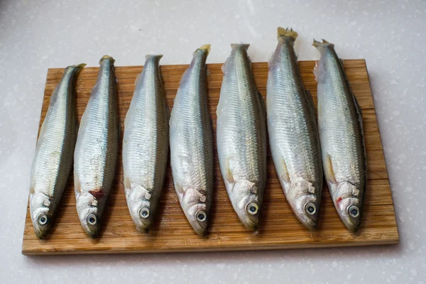 Smelt vissen op witte achtergrond — Stockfoto