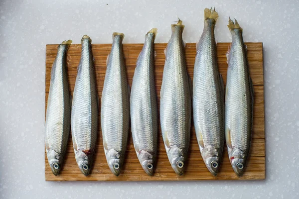 Smelt fishes on white background — Stock Photo, Image