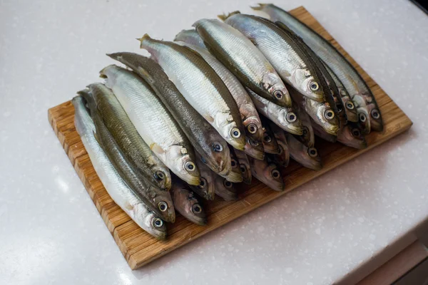 Peces olfateados sobre fondo blanco —  Fotos de Stock