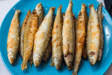 Kızarmış eritilmiş beyaz zemin üzerine mavi plaka mevcuttur