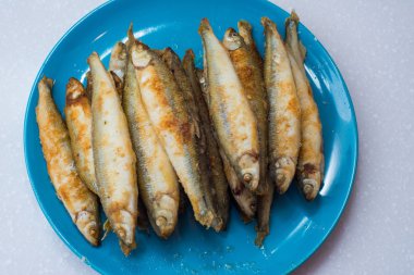 Kızarmış eritilmiş beyaz zemin üzerine mavi plaka mevcuttur