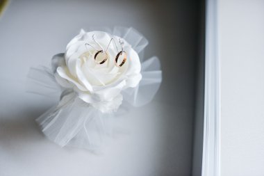 Düğün yüzükleri.