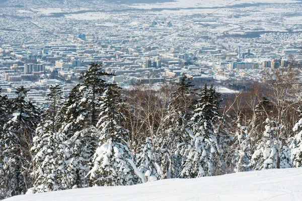 Trilha de esqui floresta inverno — Fotografia de Stock