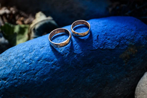 Beautiful wedding rings — Stock Photo, Image