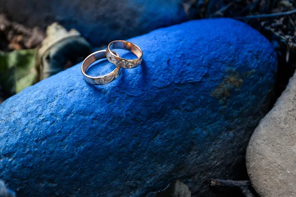 Gyönyörű jegygyűrűk. — Stock Fotó