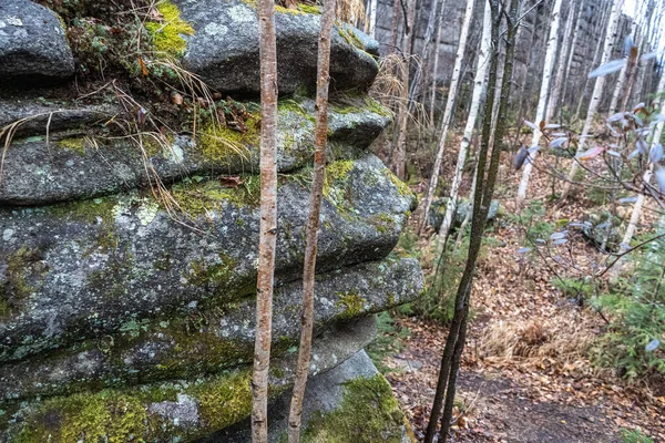 Anyu pillars . Beautiful rocky gray textured background with mosses and lichens. Surface mountain cliff close-up. — Stock Photo, Image