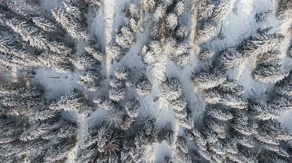 Bosque de invierno con árboles nevados, vista aérea. Naturaleza invernal, paisaje aéreo con río congelado, árboles cubiertos de nieve blanca — Foto de Stock