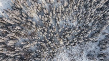 Karlı ağaçlı kış ormanı, hava manzaralı. Kış doğası, donmuş nehirli hava manzarası, beyaz karla kaplı ağaçlar.