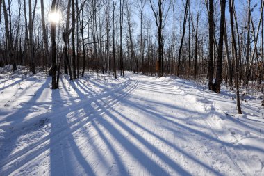 Bir kızak tren ile dağ gölü dondu 