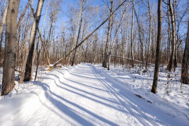 Bir kızak tren ile dağ gölü dondu 