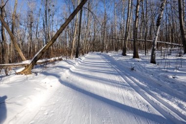 Bir kızak tren ile dağ gölü dondu 