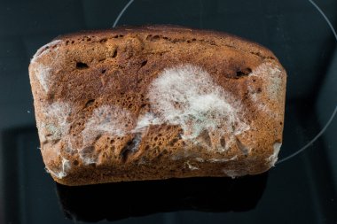 ekmek siyah bir arka plan üzerinde kalıp