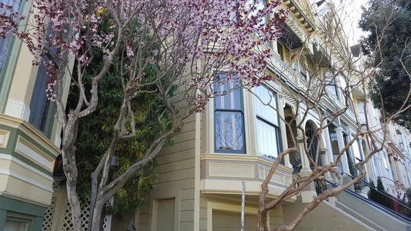 Alamo Square, San Francisco, Kalifornien, Vereinigte Staaten — Stockfoto