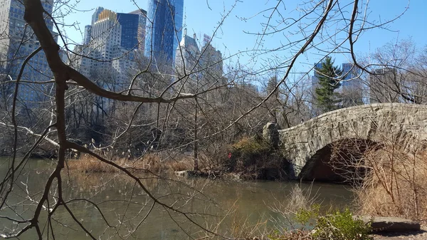 Central Park in New York City, Ny, Verenigde Staten — Stockfoto