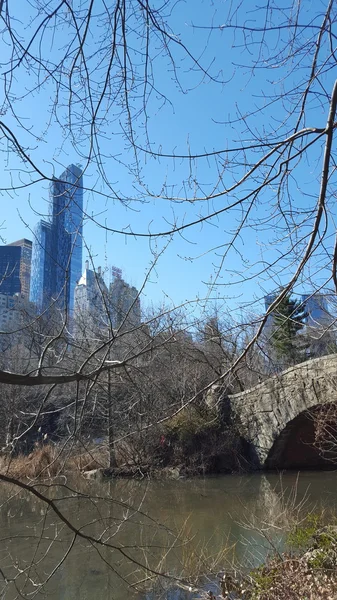 Central Park in New York City, Ny, Verenigde Staten — Stockfoto