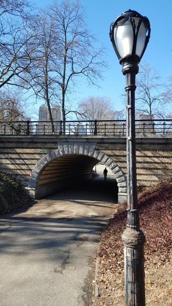 Central Park in New York City, Ny, Verenigde Staten — Stockfoto